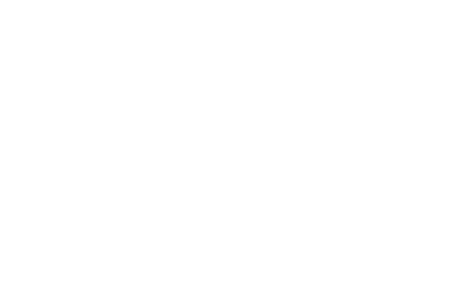 Digitransformer Logo Web White